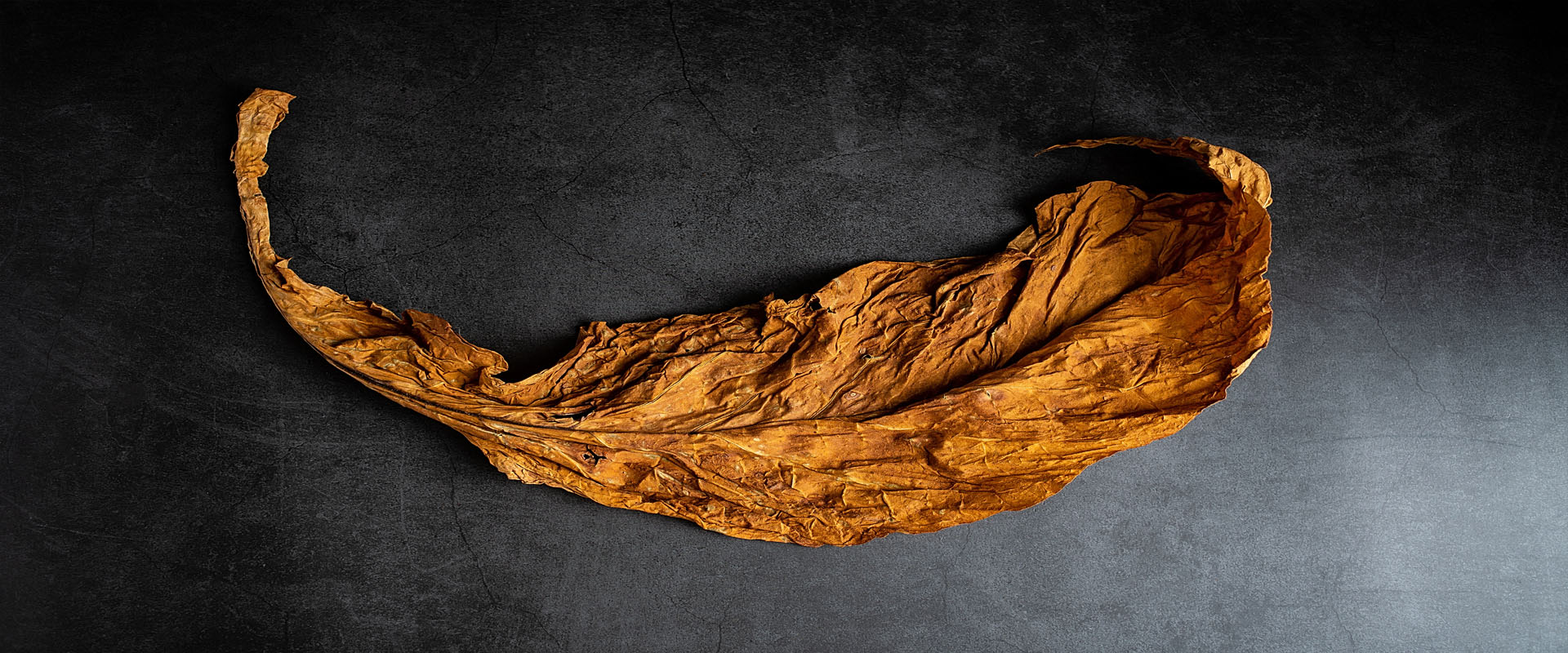 Wholesale Tobacco Leaf